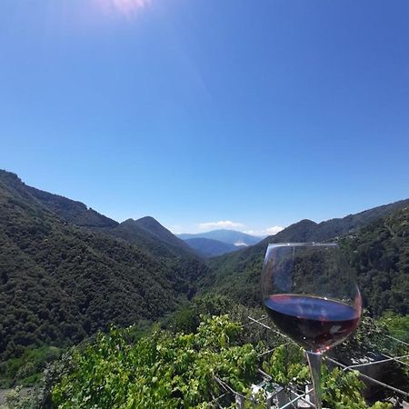 B&B La Locanda Del Cinghiale Aurano Zewnętrze zdjęcie