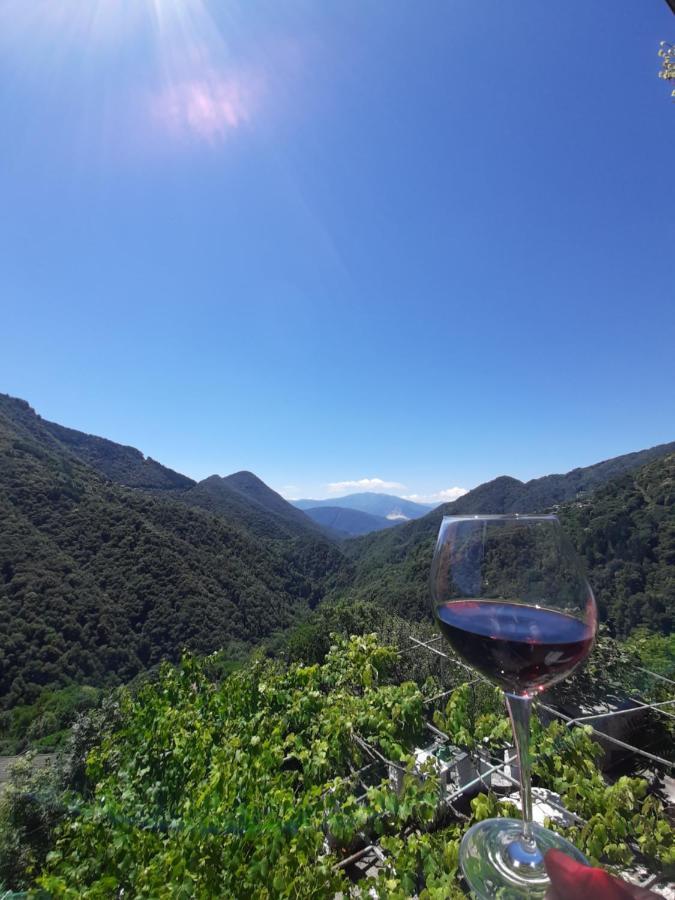 B&B La Locanda Del Cinghiale Aurano Zewnętrze zdjęcie