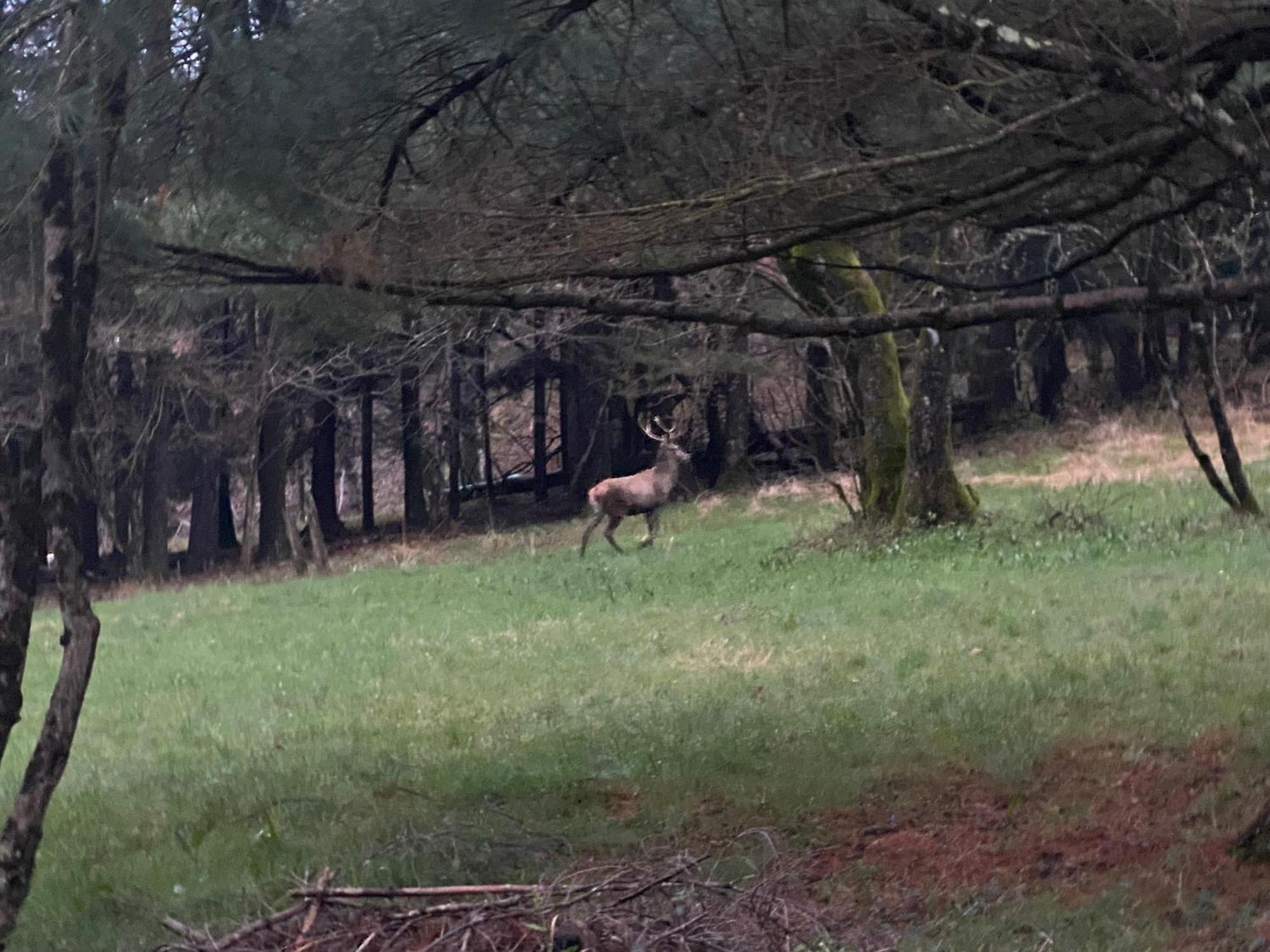 B&B La Locanda Del Cinghiale Aurano Zewnętrze zdjęcie